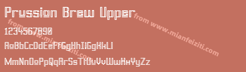 Prussian Brew Upper预览图1