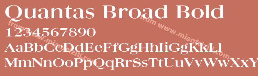 Quantas Broad Bold预览图1