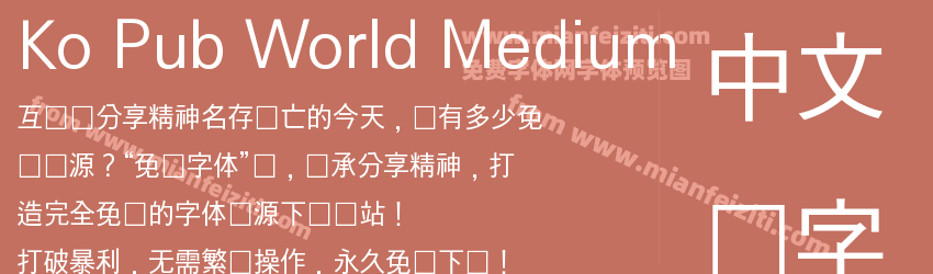 Ko Pub World Medium预览图1