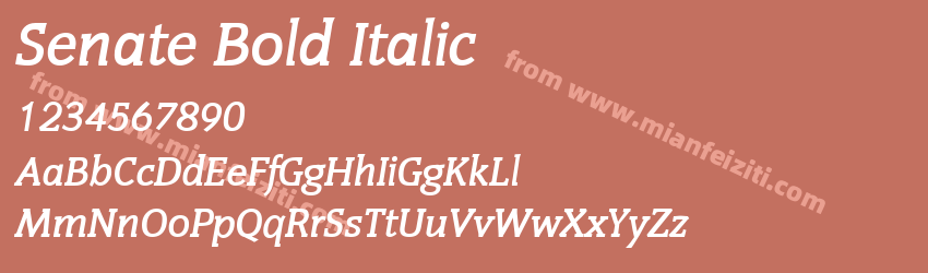 Senate Bold Italic预览图1