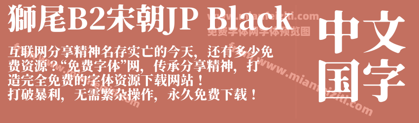 獅尾B2宋朝JP Black预览图1