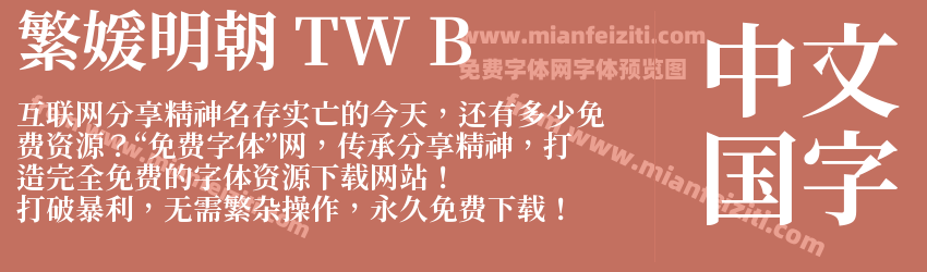 繁媛明朝 TW B预览图1