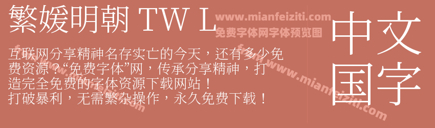 繁媛明朝 TW L预览图1