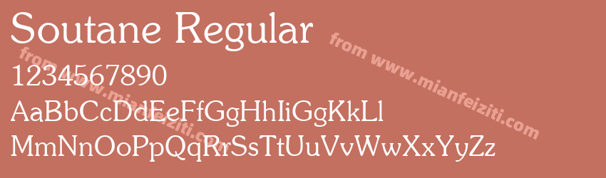 Soutane Regular预览图1