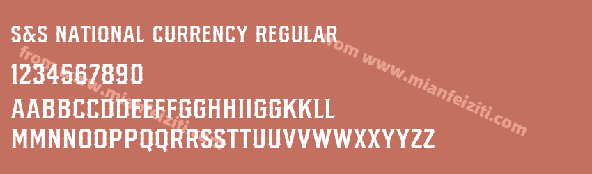 S&S National Currency Regular预览图1