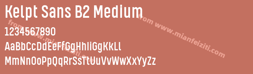 Kelpt Sans B2 Medium预览图1