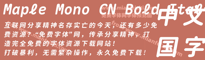 Maple Mono CN Bold Italic预览图1