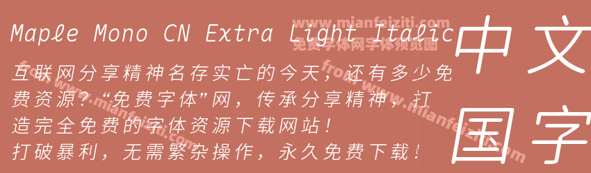 Maple Mono CN Extra Light Italic预览图1
