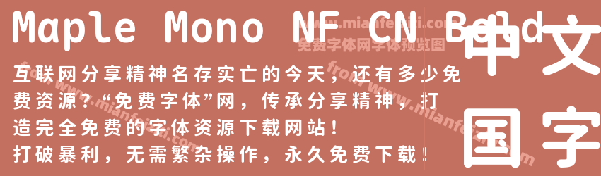 Maple Mono NF CN Bold预览图1