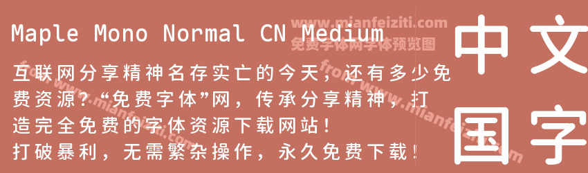 Maple Mono Normal CN Medium预览图1