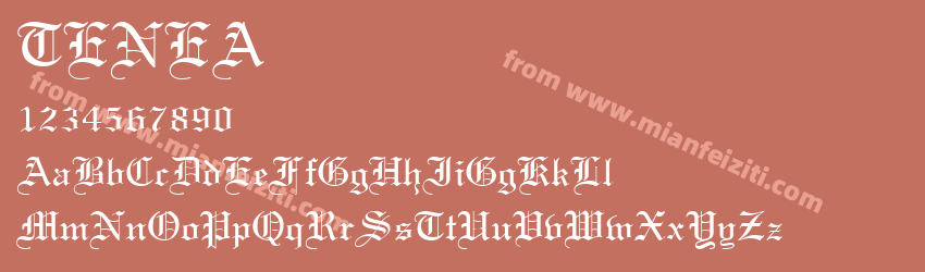 Textur Regular预览图1