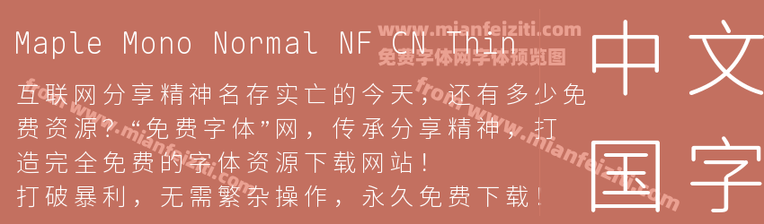 Maple Mono Normal NF CN Thin预览图1