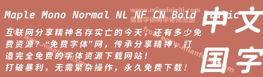 Maple Mono Normal NL NF CN Bold Italic预览图1