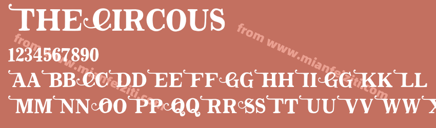 The Circous Regular预览图1