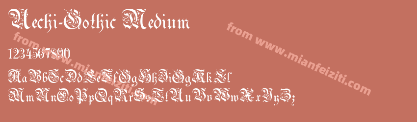 Uechi Gothic Medium预览图1