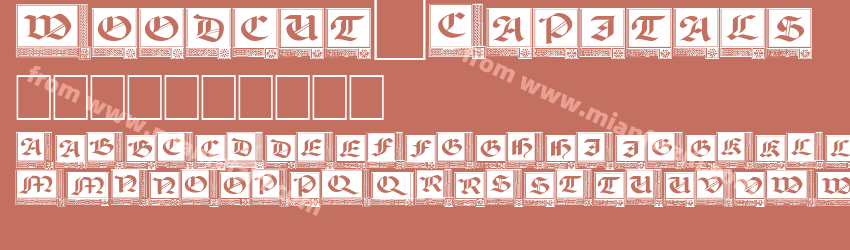 Woodcut_ Capitals预览图1
