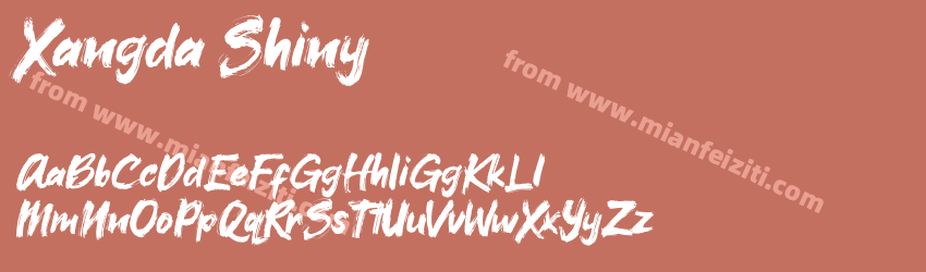 Xangda Shiny预览图1