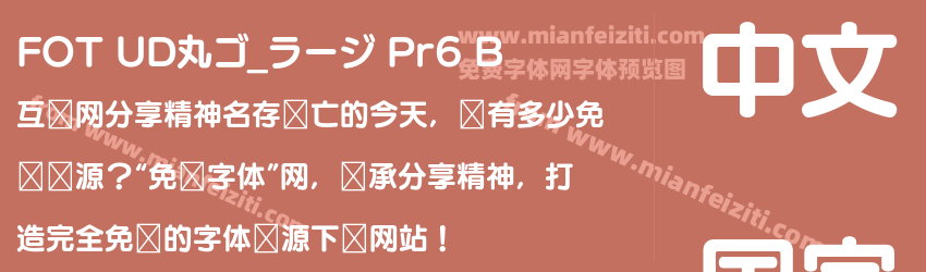 FOT UD丸ゴ_ラージ Pr6 B预览图1