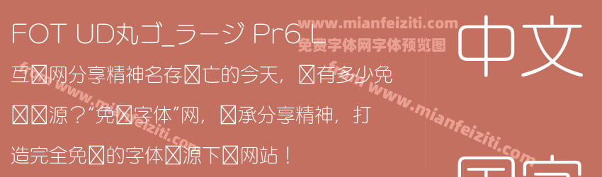 FOT UD丸ゴ_ラージ Pr6 L预览图1