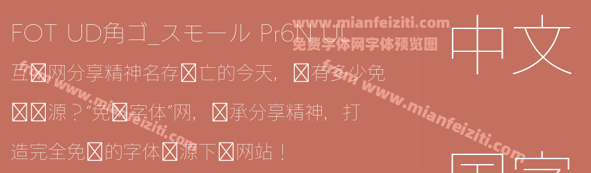 FOT UD角ゴ_スモール Pr6N UL预览图1