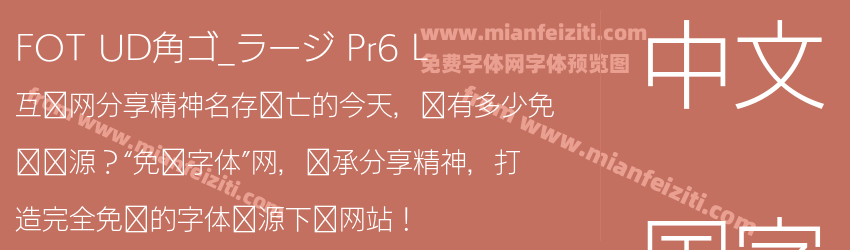 FOT UD角ゴ_ラージ Pr6 L预览图1