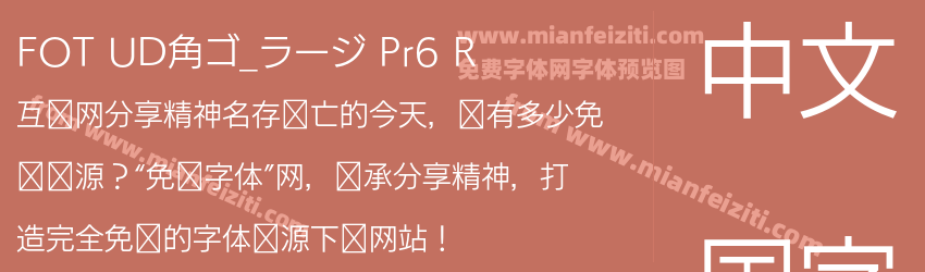 FOT UD角ゴ_ラージ Pr6 R预览图1