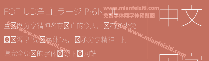FOT UD角ゴ_ラージ Pr6N UL预览图1