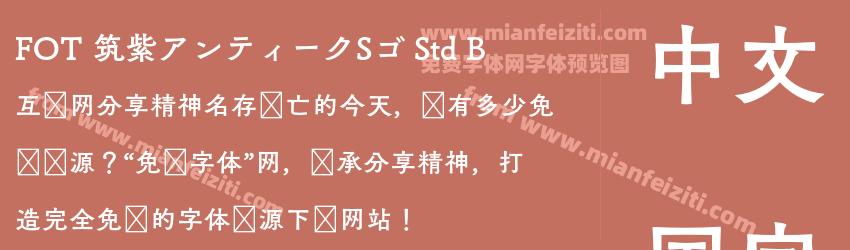 FOT 筑紫アンティークSゴ Std B预览图1