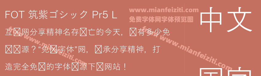 FOT 筑紫ゴシック Pr5 L预览图1