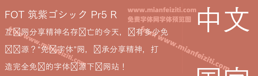 FOT 筑紫ゴシック Pr5 R预览图1