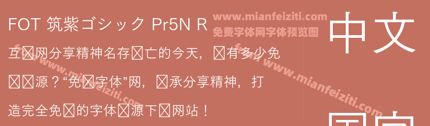 FOT 筑紫ゴシック Pr5N R预览图1