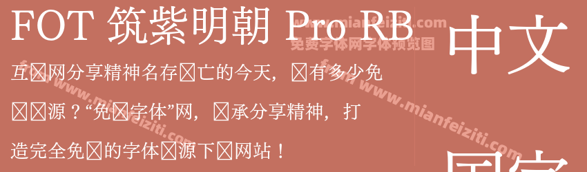 FOT 筑紫明朝 Pro RB预览图1