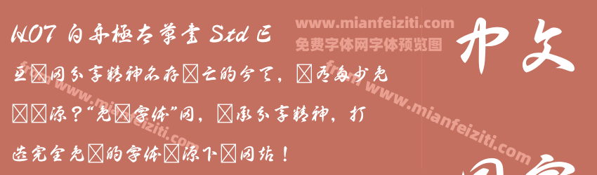 HOT 白舟極太草書 Std E预览图1