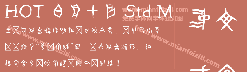 HOT 白舟甲骨 Std M预览图1