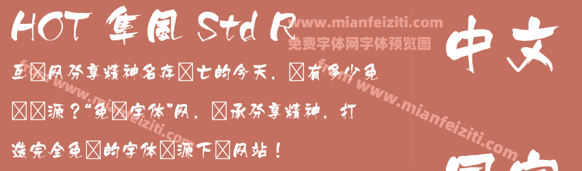 HOT 隼風 Std R预览图1