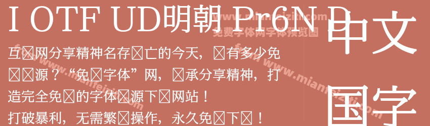 I OTF UD明朝 Pr6N D预览图1