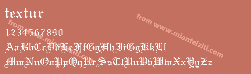 Textur Regular预览图1