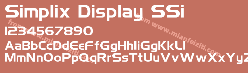 Simplix Display S Si预览图1