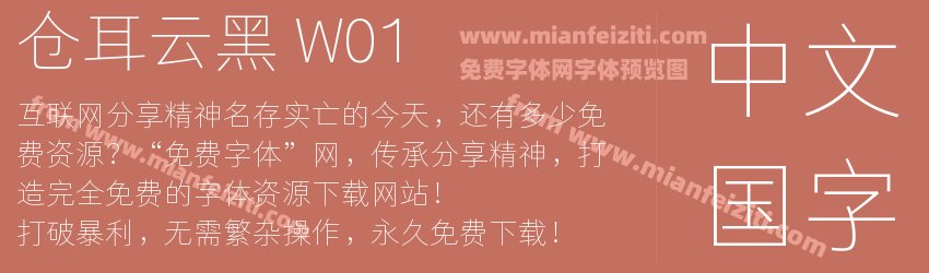 仓耳云黑 W01预览图1