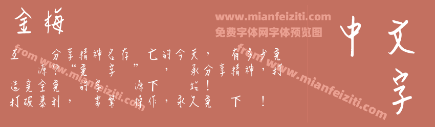 金梅钢笔预览图1