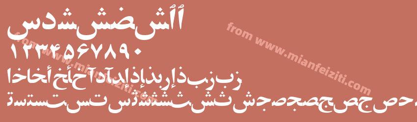 Persian ZibaSSK预览图1