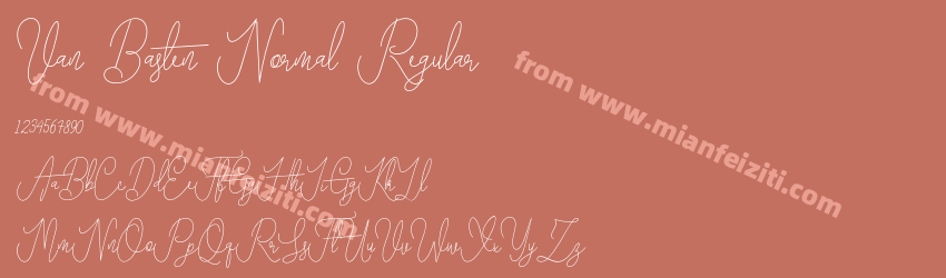 Van Basten Normal Regular预览图1