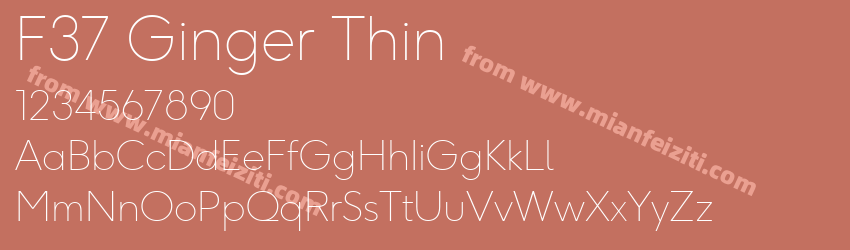 F37 Ginger Thin预览图1
