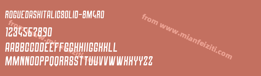 Roguedash Italic Solid 8M4R0预览图1
