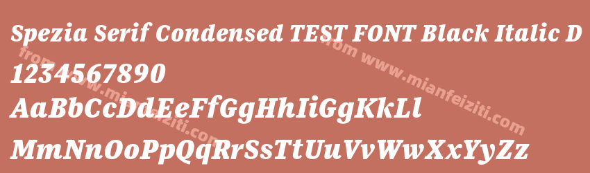 Spezia Serif Condensed TEST FONT Black Italic D预览图1