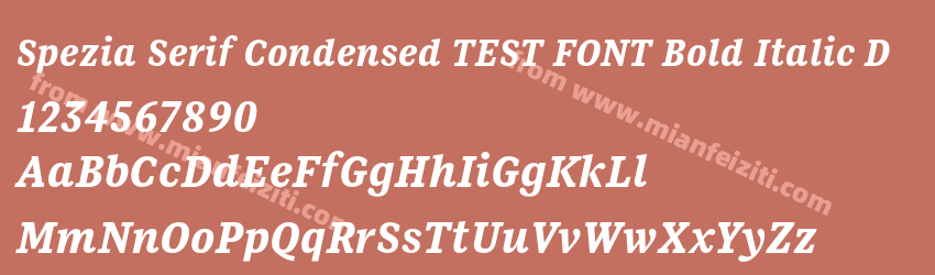 Spezia Serif Condensed TEST FONT Bold Italic D预览图1