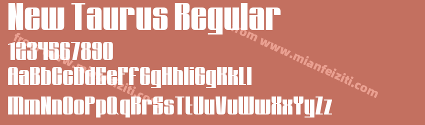 New Taurus Regular预览图1