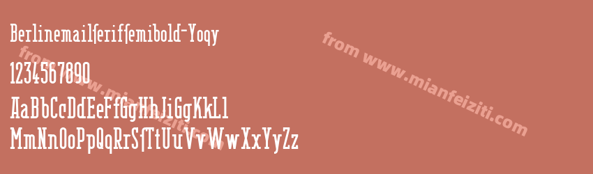 Berlinemailserifsemibold Yoqy预览图1