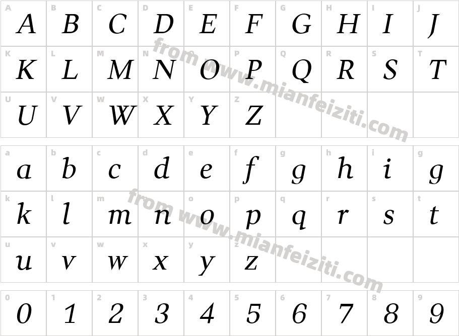 Wittgenstein-Italic Regular字体映射图