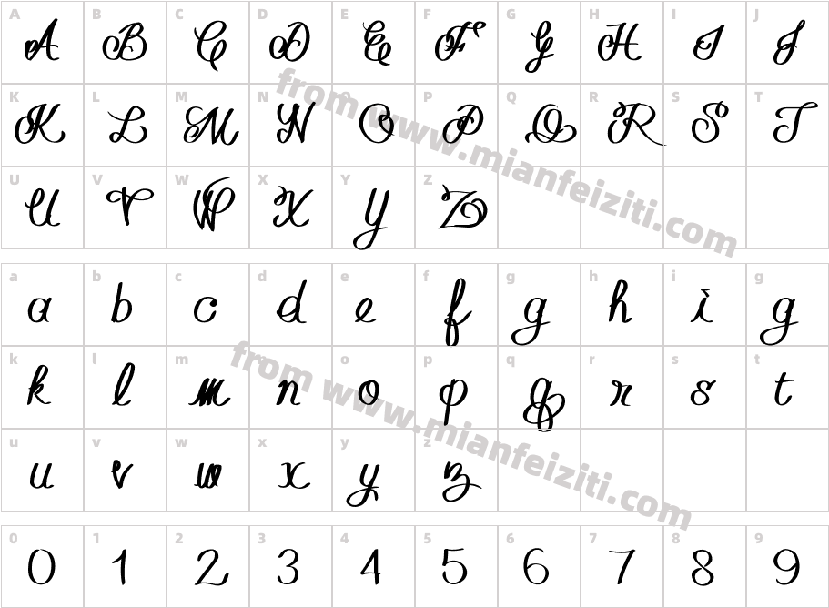 don mex type bold字体映射图